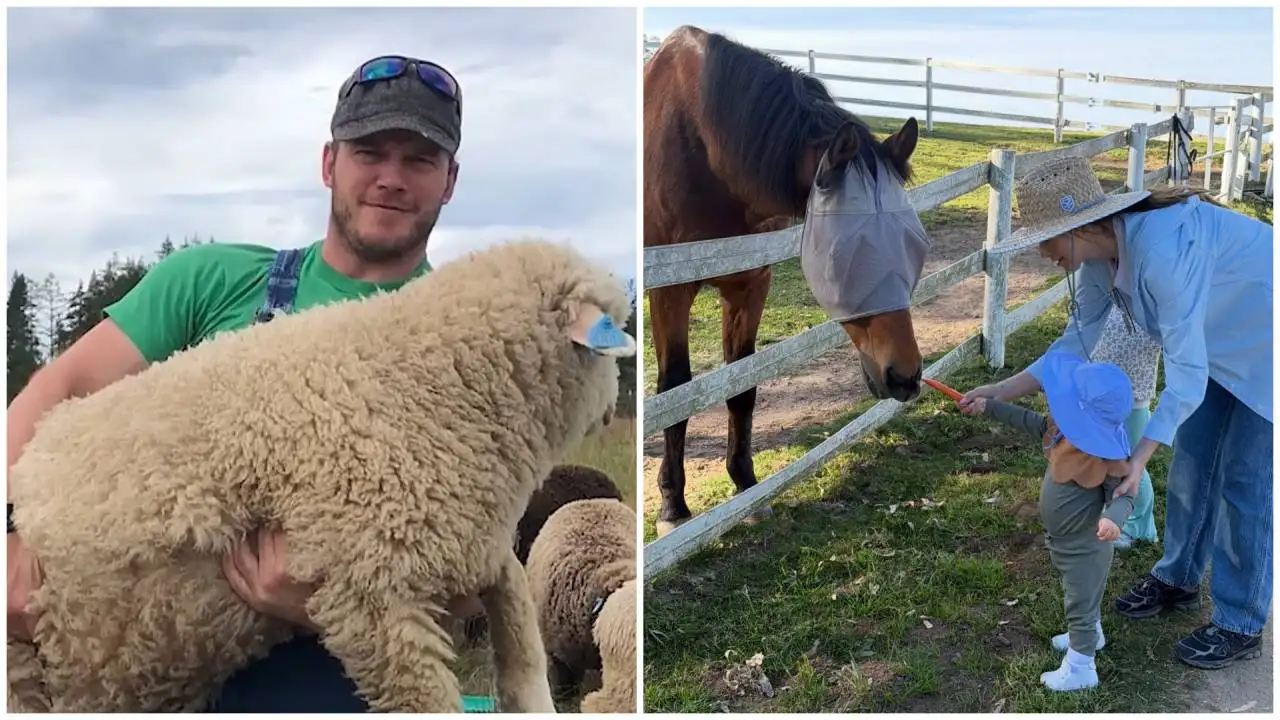 Inside Chris Pratt’s 100-acre Washington ranch with sheep, pigs and award-winning wool