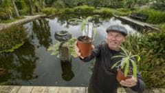 Rare tree offspring given lifeline at Scottish botanic garden