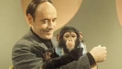 Zoologist and author Desmond Morris dies aged 98