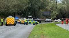 Two dead after car hits group of pedestrians