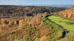 How a lost road helped rewild a rare landscape