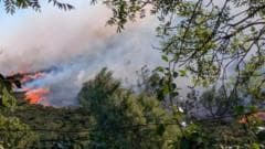 Summer wildfires caused catastrophic hidden damage, scientists warn