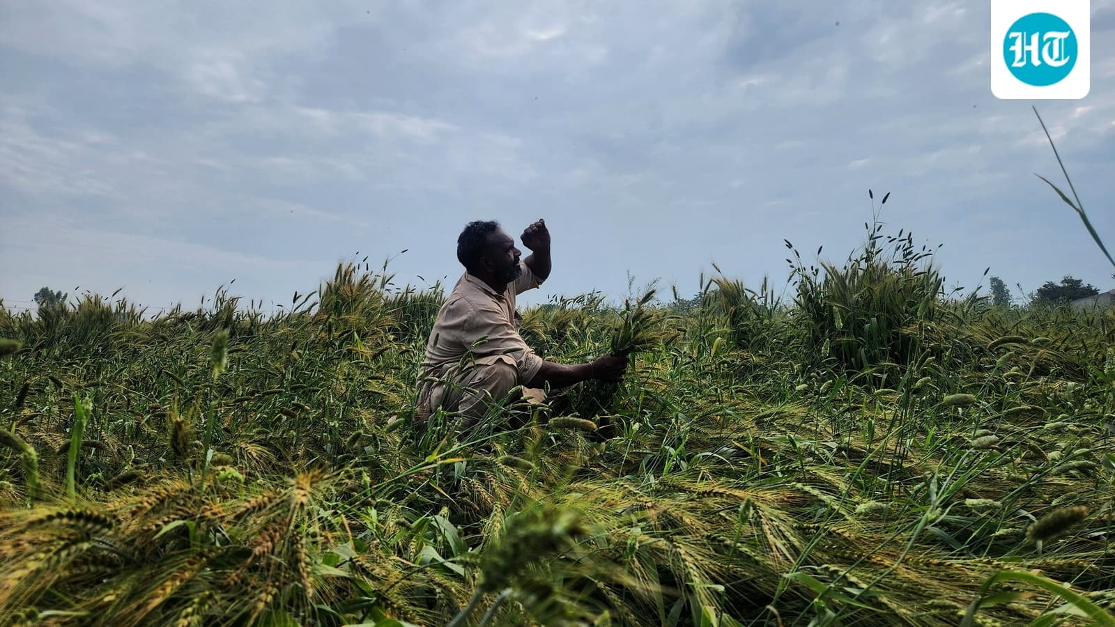 IMD's below-normal 2026 monsoon forecast threatens agriculture, economy